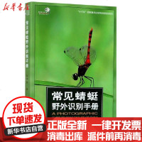 [新华书店]正版 常见蜻蜓野外识别手册/好奇心书系张浩淼重庆大学出版社9787568922333 书籍