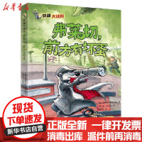 [新华书店]正版 弗莱切,前方有坏蛋/大侦探臭鼬第2辑无上海文化出版社9787553520384 书籍