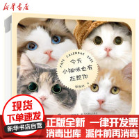 [新华书店]正版 今天小猫咪也有在想你郭斯特人民邮电出版社9787115549150 书籍