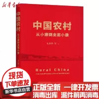 [新华书店]正版 中国农村(从小康到全面小康)孔祥智中国人民大学出版社9787300287195 书籍