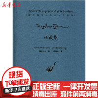 [新华书店]正版西藏集嘎代才让四川民族出版社9787540973261中国现当代诗歌