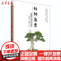 【新华书店】正版 柏树盆景造型与养护技艺周士峰福建科学技术出版社9787533552329 书籍