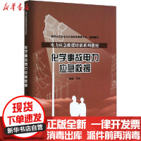 [新华书店]正版化学事故电力应急救援国网山东省电力公司应急管理中心中国水利水电出版社9787517089490水利工程