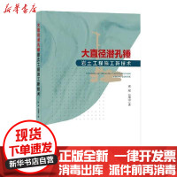 【新华书店】正版大直径潜孔锤岩土工程施工新技术雷斌中国建筑工业出版社9787112257287建筑史与建筑文化
