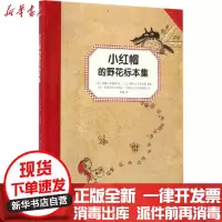 [新华书店]正版 小红帽的野花标本集罗朗·奥都因山东文艺出版社9787532943777 书籍