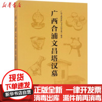 [新华书店]正版 广西合浦文昌塔汉墓广西文物保护与考古研究所文物出版社9787501049127 书籍