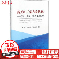 [新华书店]正版 露天矿开采方案优化王青冶金工业出版社9787502477738 书籍