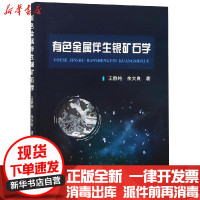 [新华书店]正版 有色金属伴生银矿石学王静纯冶金工业出版社9787502479107 书籍