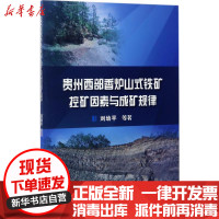 [新华书店]正版 贵州西部香炉山式铁矿控矿因素与成矿规律冶金工业出版社9787502474607 书籍