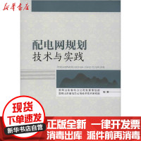 [新华书店]正版 配电网规划技术与实践国网山东省电力公司发展策划部中国电力出版社9787519836672 书籍