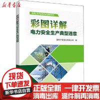 [新华书店]正版 彩图详解电力安全生产典型违章国网宁夏电力有限公司中国电力出版社9787519843649 书籍