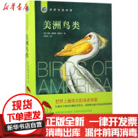 【新华书店】正版 美洲鸟类约翰·詹姆斯·奥杜邦北京理工大学出版社9787568233170 书籍