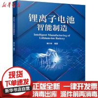 [新华书店]正版锂离子电池智能制造崔少华机械工业出版社9787111674849  类