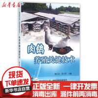 [新华书店]正版肉鸽养殖关键技术韩 兵 原农民出版社9787554214060畜牧/狩猎/蚕/蜂