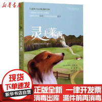 [新华书店]正版打动孩子心灵的动物经典•灵犬莱西/打动孩子心灵的动物经典埃里克·奈特中国少年儿童出版社