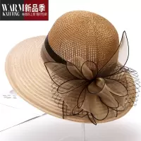 SHANCHAO帽子女中老年妈妈时尚太阳帽透气老人凉帽奶奶遮阳帽薄款盆帽