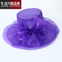 SHANCHAO欧根纱帽子女夏英伦风时尚洋气大帽檐太阳帽可折叠遮阳帽凉帽