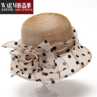 SHANCHAO渔夫帽子女夏季中老年人欧根纱凉帽遮阳帽太阳帽妈妈透气网纱