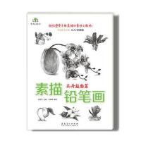 正版 素描铅笔画 9787539870236 安徽美术出版社 赵锦杰 主编;刘丽霞 编著