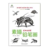 素描铅笔画-昆虫水族篇组合静物 素描的诀窍 初学者 绘画书 零基础素描书入自学零基础 素描静物 基础教程 绘画书籍