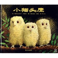 小猫头鹰硬壳精装绘本信谊精选图画书适合3岁以上儿童课外阅读书籍正版童书