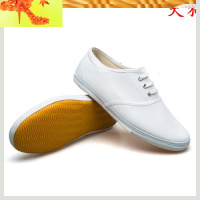 白色男鞋女鞋儿童鞋帆布鞋白球鞋白布鞋白网鞋武术鞋白工作  简畅