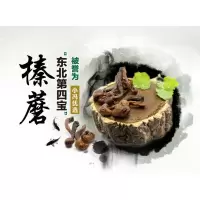 野生榛蘑 小鸡炖蘑菇专用榛磨 东北特产 野生菌 东北年货g0028