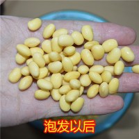 新豆18年东北黑龙江省黄豆农家小粒黄豆笨黄豆 豆浆非豆芽5斤 0160