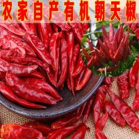 香河南朝天椒三樱辣椒500g 干辣椒 可免费加工辣椒粉0017