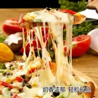 多马苏里拉芝士碎 奶酪丝 披萨焗饭拉丝 烘焙原料 原装450g0295