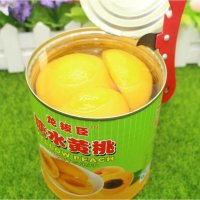 果罐头 龙拨臣糖水水蜜桃罐头 水蜜桃黄桃罐头822g蛋糕装饰0480