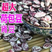 包豆状元豆大肾豆 豆类杂粮花芸豆花豆 大粒优质500g0549