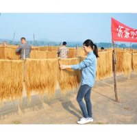 条正宗纯正农家纯手工自制天然无添加地瓜细丝苕粉山东5斤0549