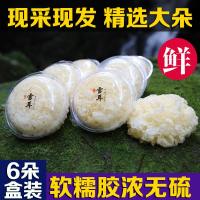 装珍云鲜天然古田新鲜银耳雪耳鲜活非干货白木耳纯软糯多胶