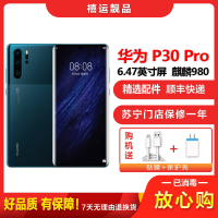 [二手95成新]华为P30 Pro 墨玉蓝 8GB+128GB 全网通 全面屏 麒麟980芯片徕卡三摄 双卡娱乐4G手机