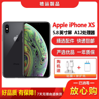 [二手95新]Apple 苹果 iPhone XS 深空灰 256GB 二手手机 苹果XS 单卡拍照娱乐备用4G手机国行
