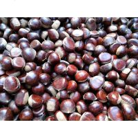 栗年正宗河北唐山生新鲜野生毛栗子板票 3斤小粒(90-100粒/斤)一角硬币大