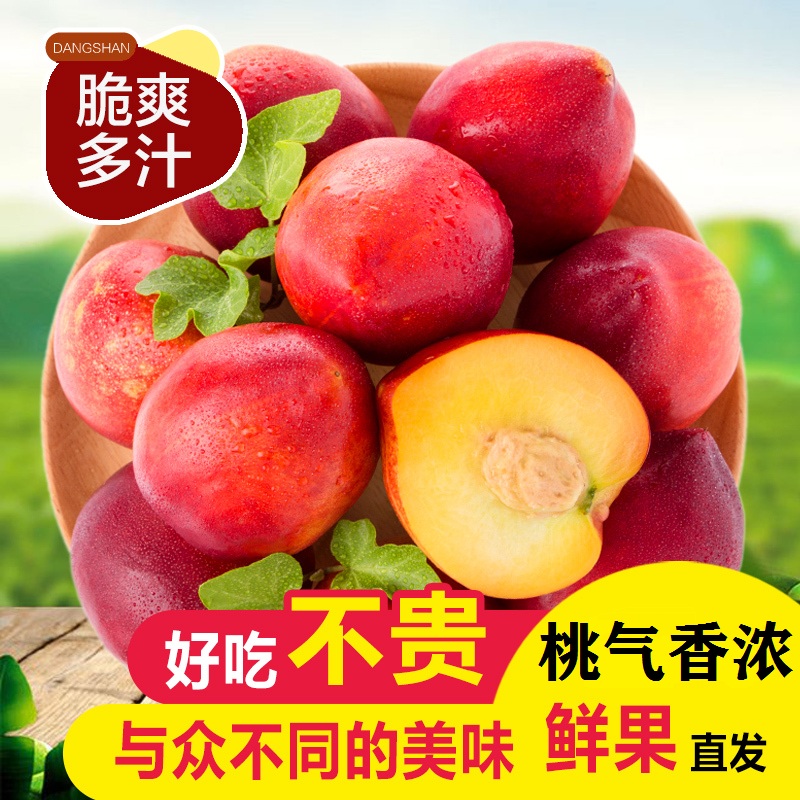 露天砀山黄肉油桃可做罐头净重3斤新鲜当季果园直采 脆甜多汁 桃气香浓