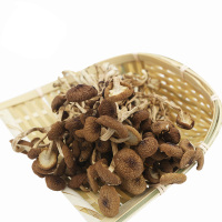 翼生源 茶树菇干货不开伞 500g古田茶薪菇香嫩未开伞 一斤装农家自产新货