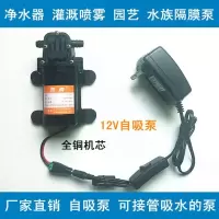 直流微型水泵 12v自吸泵隔膜高压洗车增压220V抽小水泵