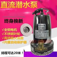 直流潜水泵电动车灌溉家用农用水井抽水机12V24V48V60V高扬程SN7148