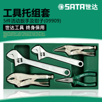 工具套装活动扳手8寸10寸大力钳尖嘴钳6寸综合套装09909