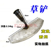 大号铲 小铲子 锄铲花锄锄 绿化铲 园林铲锄头锹耙子钉耙