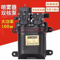 电动喷雾器水泵12V农用高压智能自吸12伏大功率双泵马达电机