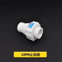 PPR全塑活接止回阀过滤器活接头20 4分25 6分水管管材管件配件