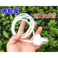 小型齿轮泵直流电机水泵 微型抽机油泵 自吸水泵 水钻机打孔水泵