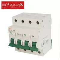 广东珠江开关 小型断路器C型空气开关 四极DZ47 4P 63A DZ47-63 / 4P 63A