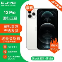 [99新]Apple iPhone 12Pro 银色 256GB 二手苹果12P 全网通 双卡双待 国行正品手机5G