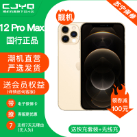 [99新]Apple iPhone 12ProMax 金色128GB 二手苹果12PM 全网通5G 国行正品 手机