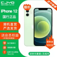 [二手99新] Apple iPhone 12 绿色 256GB 二手苹果12手机 全网通 双卡双待 国行5G 正品手机